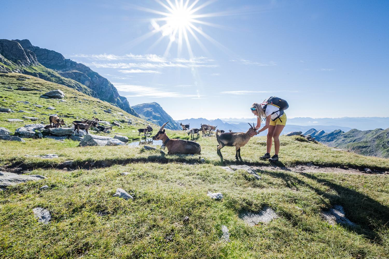 Escursioni a Merano & Dintorni