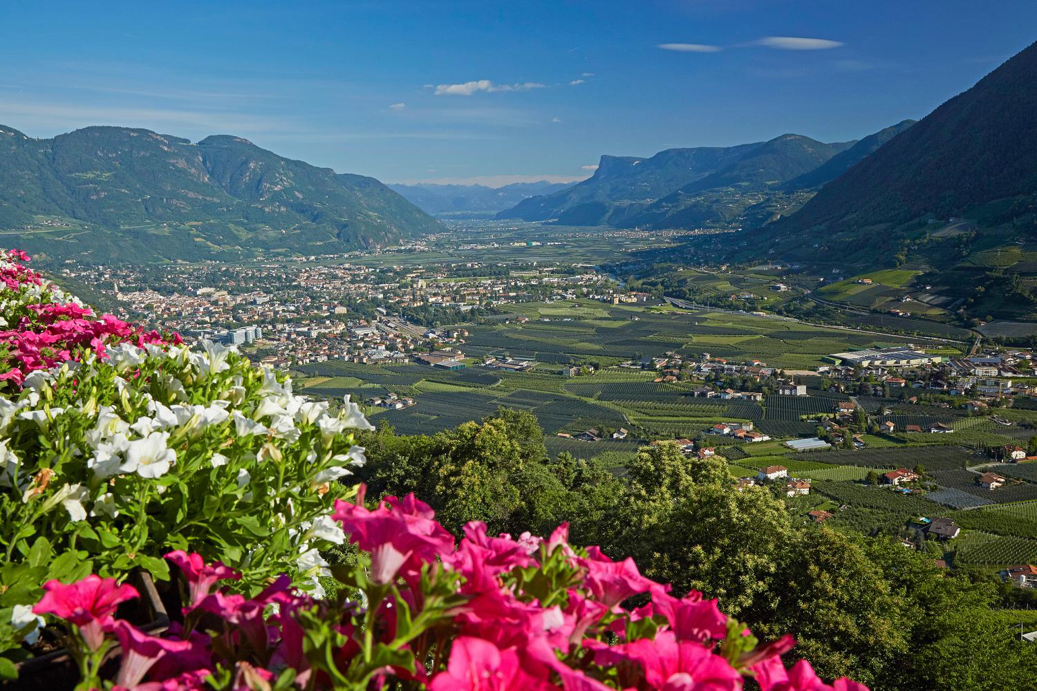 Ausblick Balkon