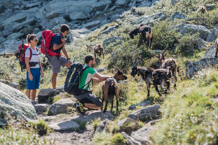 Familienwanderung